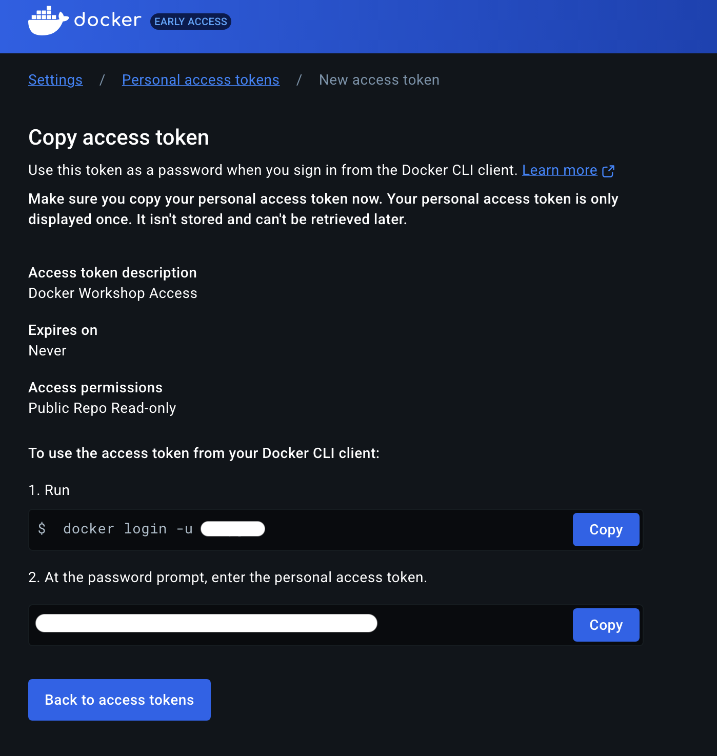 Docker CLI Login Information